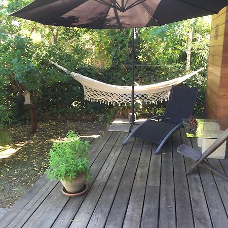 Chambre d'Hôtes du Clos Bamboo Mérignac Extérieur photo